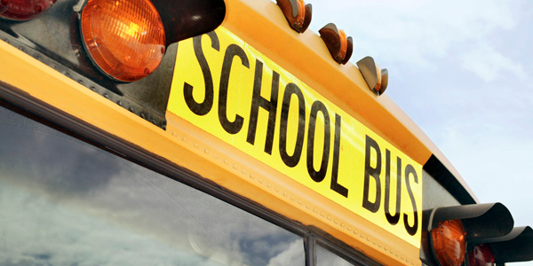 No Injuries Reported After School Bus Hits Deer in Lexington Park