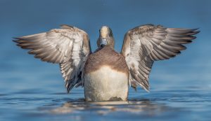 Prince George’s County Photographer Wins 2017 DNR Photo Contest