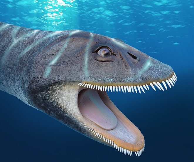 ocean dwelling dinosaurs