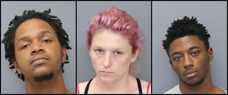 Three Fugitives Arrested at Raid on Drug House in Waldorf