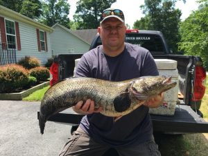 Andy Fox with his record-breaking northern snakehead