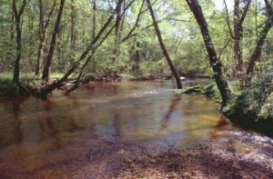 Almost 6 million Gallons of Wastewater Overflowed into Mattawoman Creek Watershed