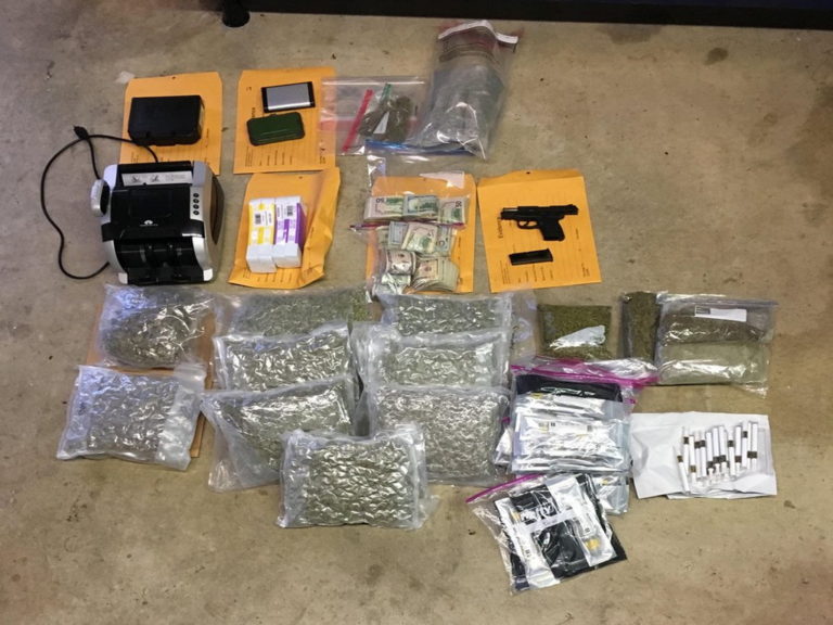 Anne Arundel County Drug Bust Charges Two with Distribution Southern