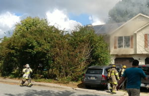 VIDEO: Over 10 Animals Rescued From House Fire in Great Mills