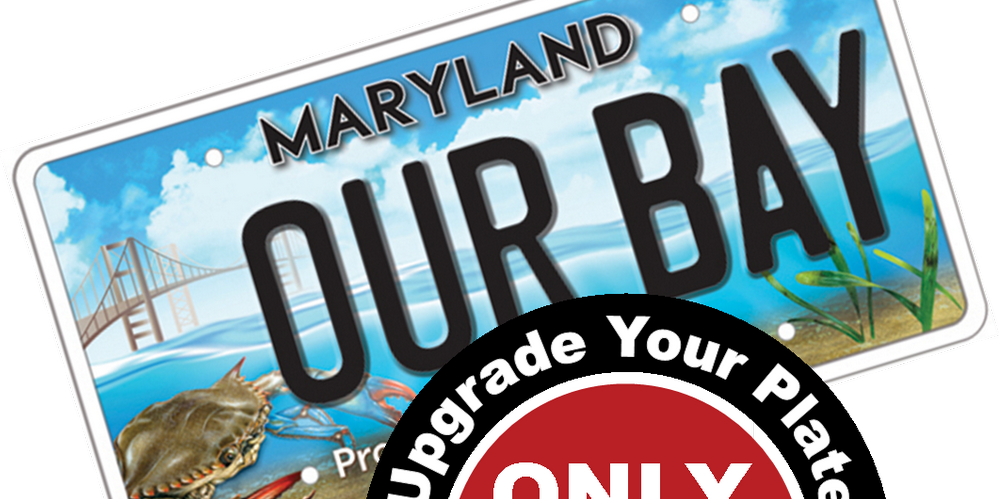 Now You Just Need A Custom 'BNTY HNT' License Plate The