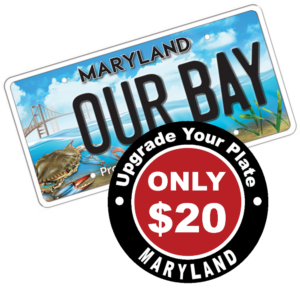 New Chesapeake Bay License Plate Design Unveiled