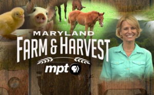 Charles County Featured in Maryland Public Television’s Thanksgiving Episode