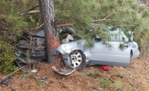 No Injuries After Vehicle Strikes Tree in Great Mills