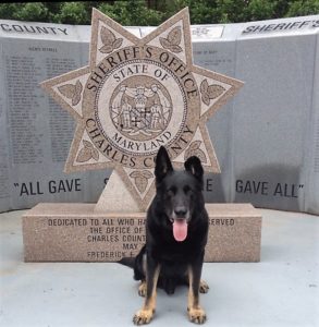 We Share our Condolences Upon Hearing Retired Charles County Sheriff’s Office K9, Atos, passed away