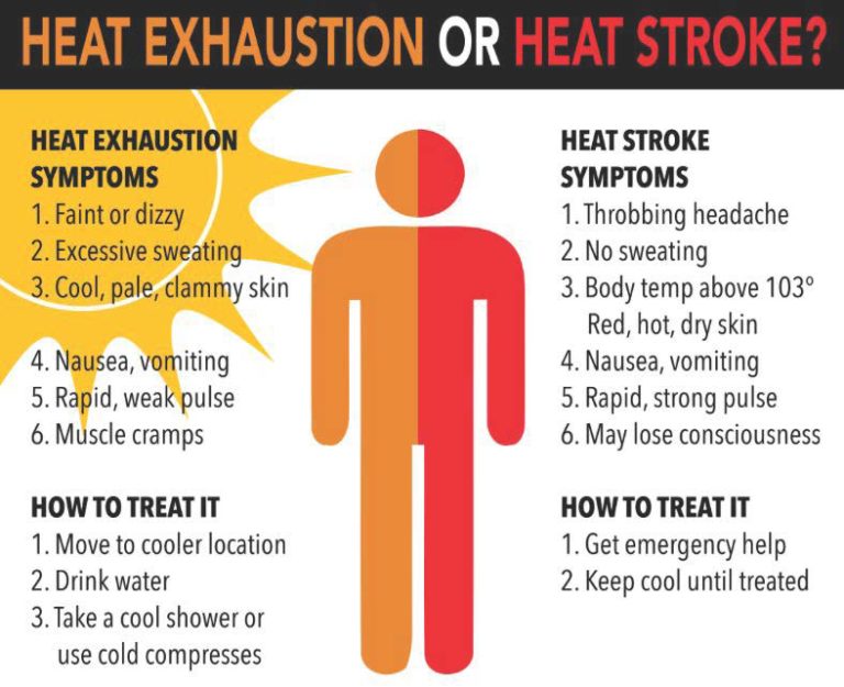 Heat Illness.pdf 768x625 