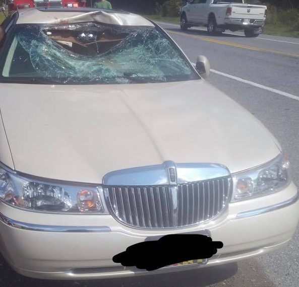 Minor Injuries Reported After Deer Goes Through Vehicles Windshield in Port Tobacco