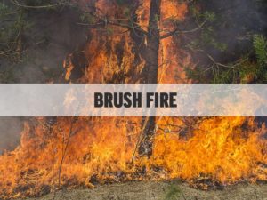 Firefighters Respond to Large Brush Fire in Leonardtown