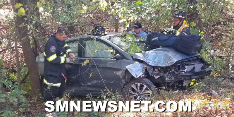 Single Vehicle Into a Tree in Hollywood Sends Operator to Area Trauma Center