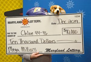 Charles County Couple’s Dog Plays Role in $10,000 Mega Millions Win