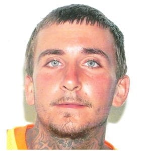 Wanted Virginia Man Leads Police on Manhunt, Arrested in La Plata without Incident