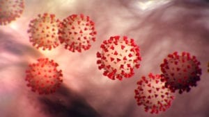 Calvert County Confirms Fourth Case of Coronavirus