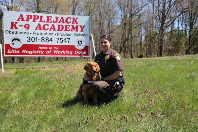 Charles County Sheriff’s Office Adopts Therapy Dog As Part of New Comfort K9 Program