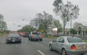 Large Response to “Pizza Pick Up Special” at Nicolletti’s Pizza in California Backs up Traffic on Three Notch Road for Hours