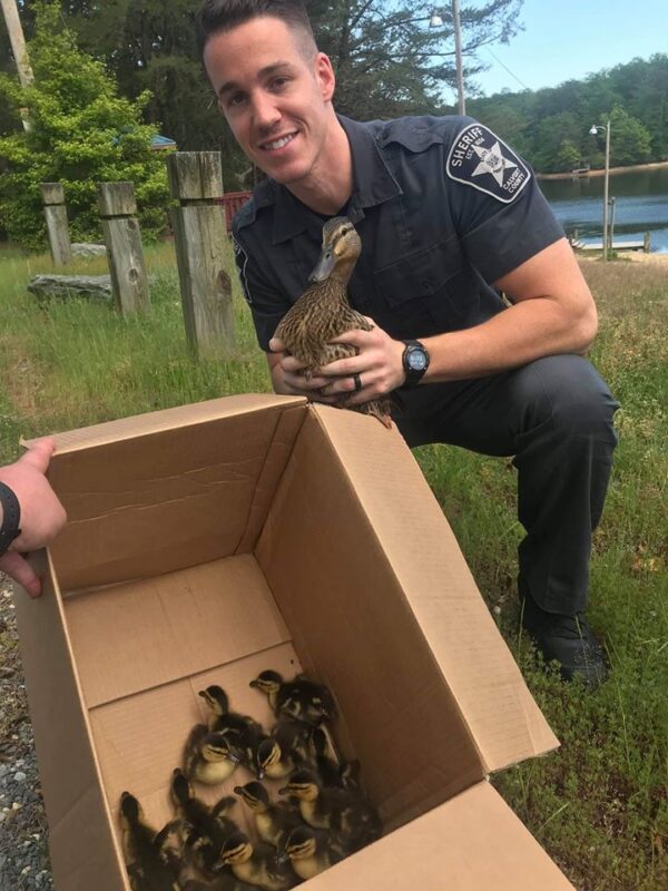 Calvert County Sheriff’s Office and Solomons Volunteer Firefighters Save Duck and Ducklings Stuck in Grate