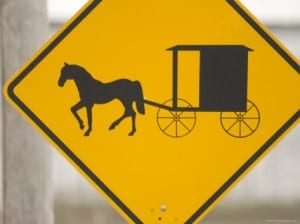 November Weddings in Southern Maryland: Driving Safely Around Amish Buggies