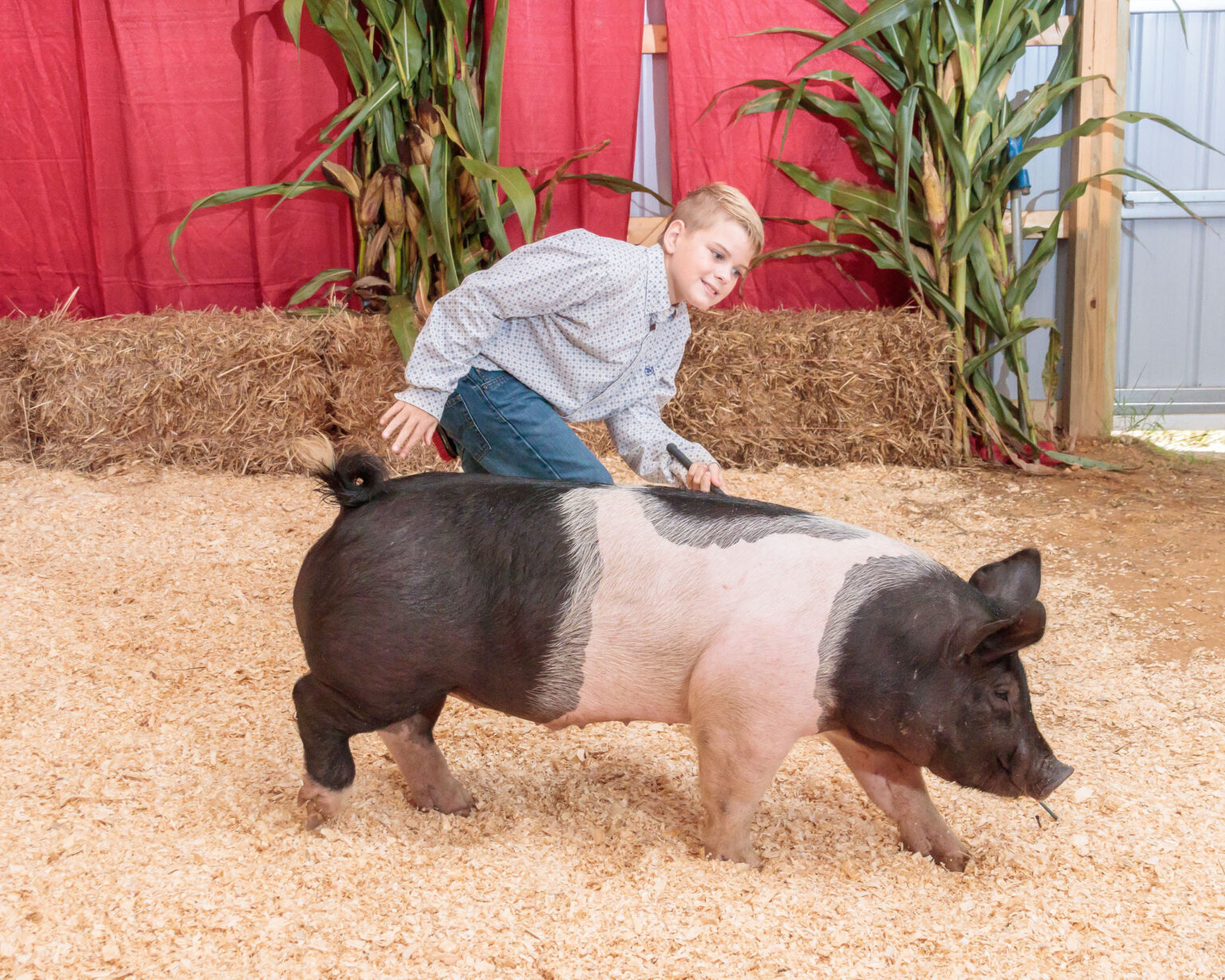 Letter to Editor Bustin’ Out of the Barn Livestock Auction to be Held