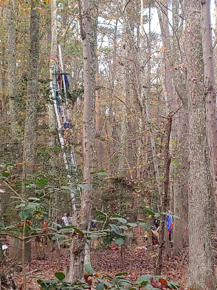Safety Harness Saves Hunter After Fall From Tree Stand in Leonardtown