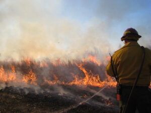 Firefighters Throughout Southern Maryland Responding to Large Woods Fire in Calvert County