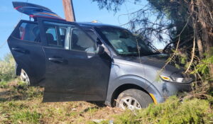 Minor Injuries Reported After Vehicle Strikes Tree in Lexington Park