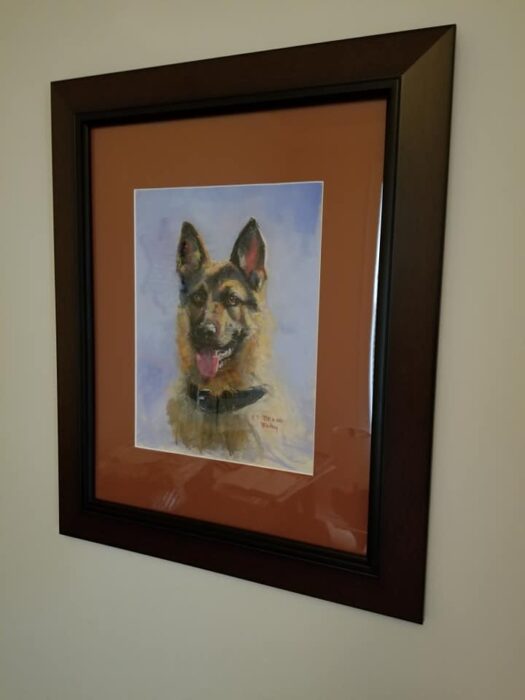 The St. Mary's County Sheriff's Office Sadly Announces the Passing of  Retired K9 Bruno - Southern Maryland News Net