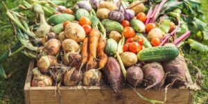 St. Mary’s County Farmers Markets Open for Winter