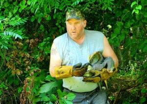 Gentle Hands Wildlife Services Rescues a Blue Heron After Being Struck by a Vehicle