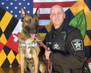 Calvert County Sheriff’s Office Announces Retirement of K9 Maximus