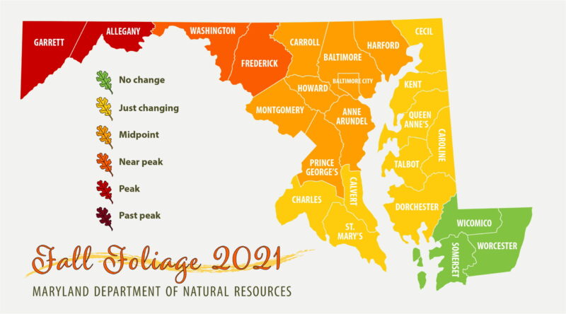 Maryland Department of Natural Resources – Fall Foliage Report for October 21, 2021