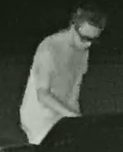 St. Mary’s County Sheriff’s Office Seeking Identity of Vandalism Suspect in Leonardtown