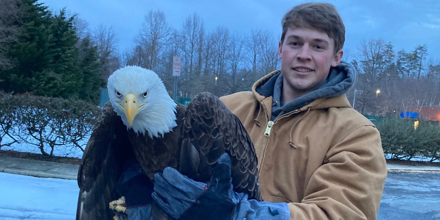 Maryland DNR Wildlife and Heritage Crew Rescue Injured Bald Eagle Found