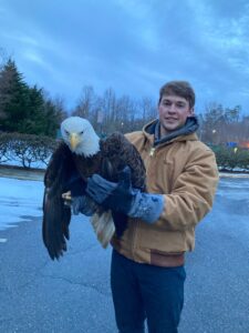 Maryland DNR Wildlife and Heritage Crew Rescue Injured Bald Eagle Found on Charles County Property