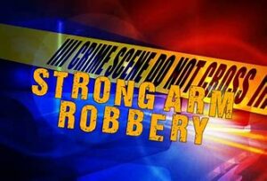 La Plata Police Officers Arrest Strong-Arm Robbery Suspect