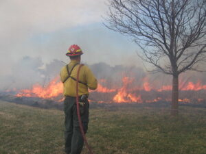 Maryland Wildfires – Safety, Tips, and Tools for Our Citizens as Calls for Brush Fires Increase