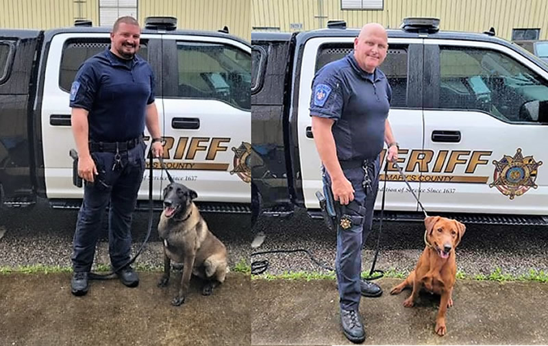 St. Mary's County Sheriff's Office Welcomes K-9s River and Havok ...