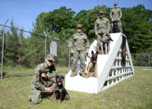 Patuxent River Security Opens Military Working Dog Kennel on Base