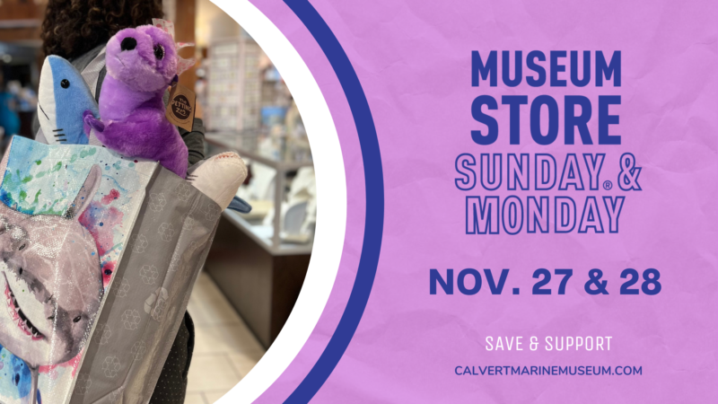 Calvert Marine Museum Celebrates Museum Store Sunday on November 27th and 28th