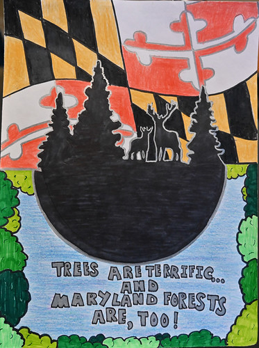 Maryland Fifth Graders Invited to Submit Arbor Day Posters for 2023