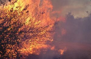 Calvert County to Conduct Controlled Burns in Prince Frederick