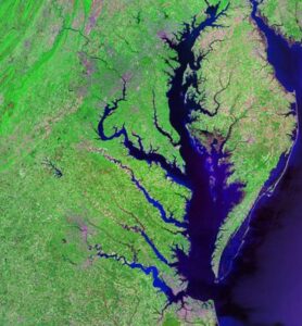 Maryland Governor Moore’s New Budget Includes Several Chesapeake Bay Restoration Priorities