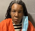 Woman Arrested for Assault and Arson After Setting House on Fire, Released 3 Days After Arrest