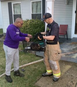 Anne Arundel County Police Officer Alerts Homeowners of House on Fire and Rescue Multiple Pets