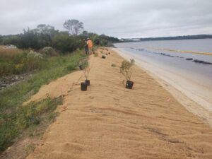 NAS Patuxent River Gets Earth Day Honors for Shoreline Restoration Work