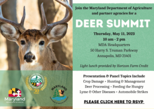 Maryland Department of Agriculture to Host Deer Summit on Thursday, May 11, 2023