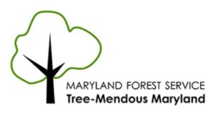 When Marylanders Register Their Vehicles, They Can Now Support the Environment and Statewide Tree Plantings