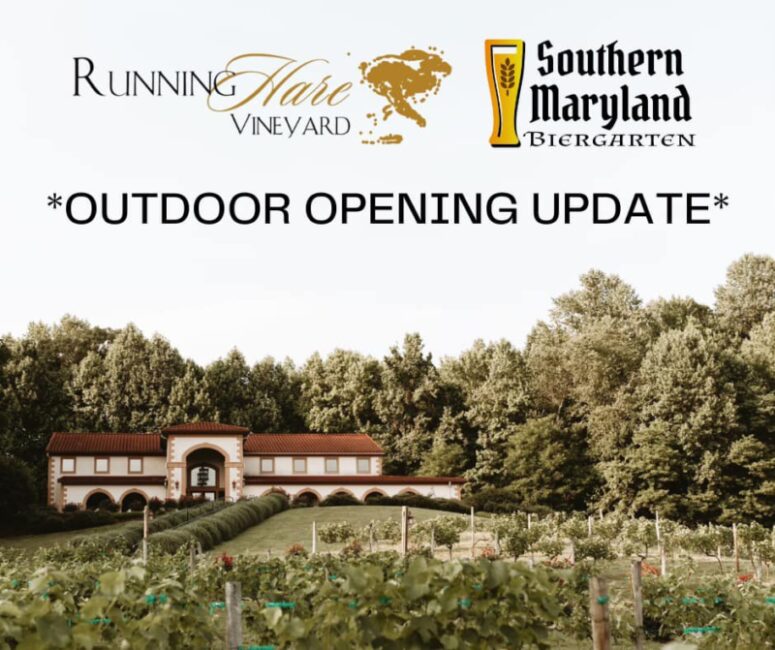 Running Hare Vineyard Opening Updates March, April, May 2023